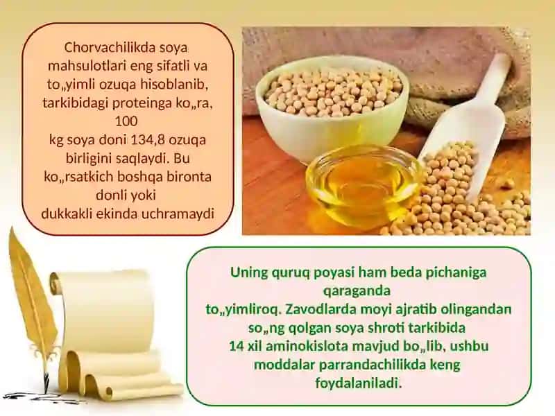 Soya donini qayta ishlashdan olinadigan mahsulotlar. 3