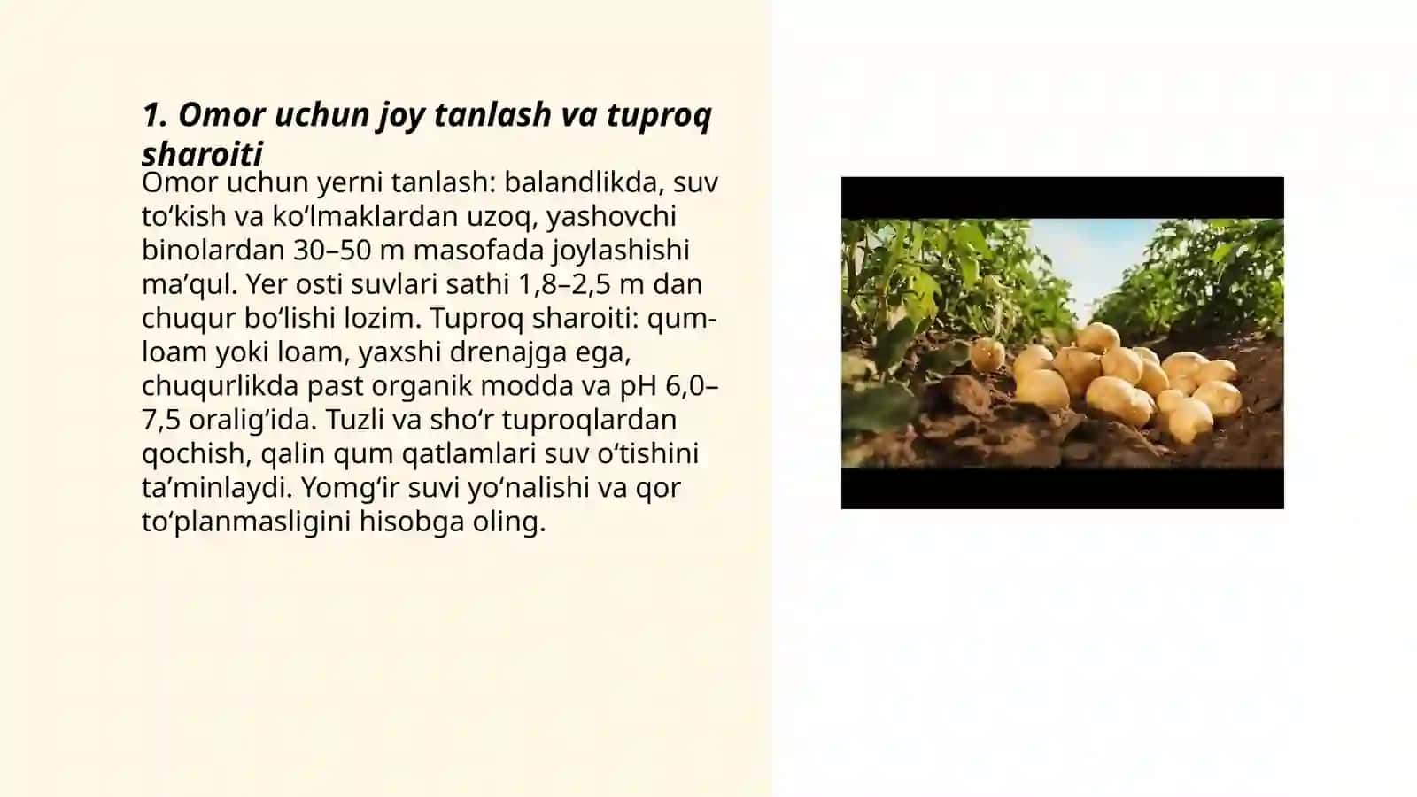 Kartoshka karam va boshqa sabzavotlarni saqlash uchun omorlar 3