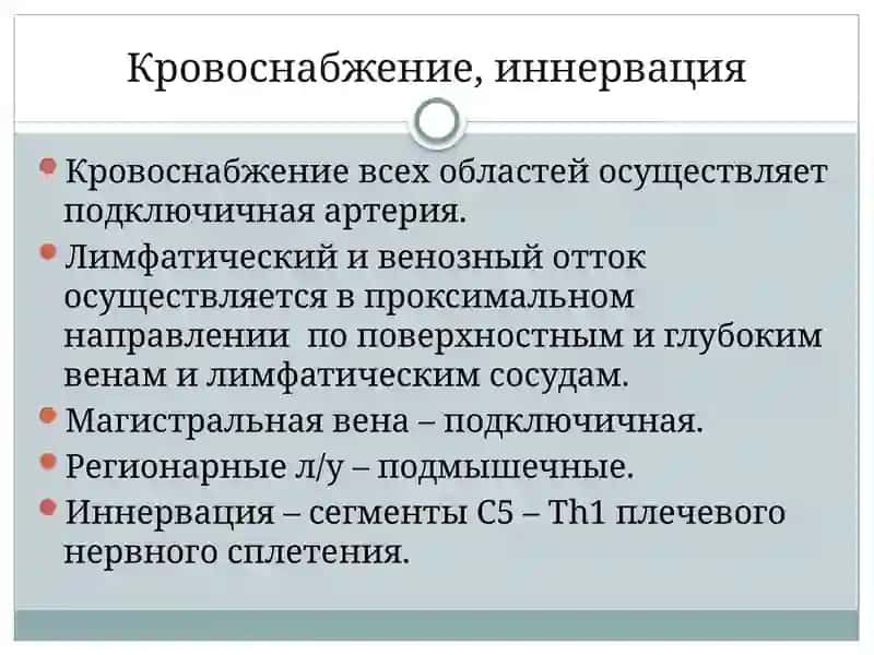 Топографическая анатомия верхней конечности 3
