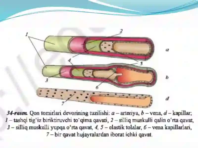 Bilim qiymati-oltingateng 3
