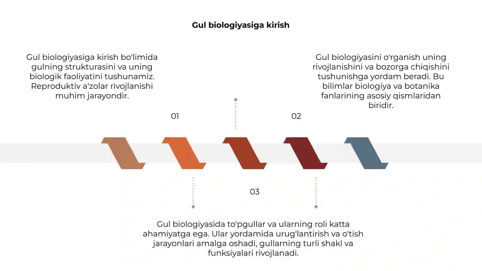 Gul biologiyasi tuzilishi reproduktiv a'zolar rivojlanishi va to'pgullar 3
