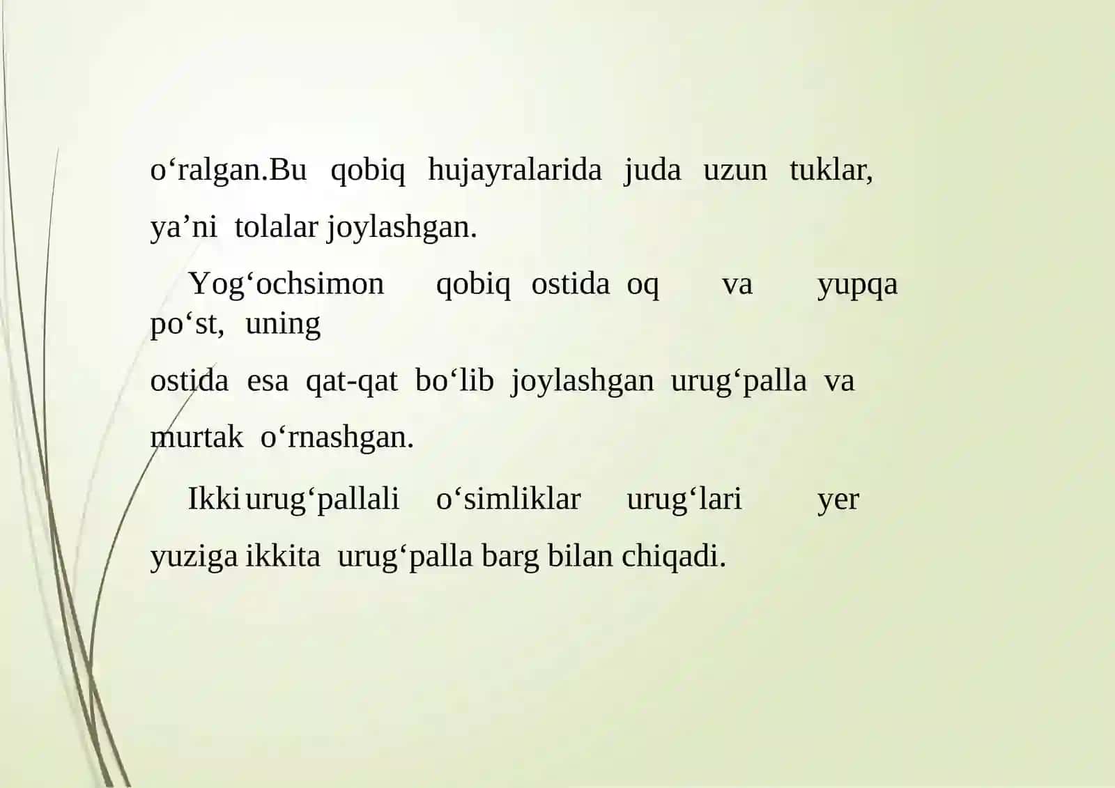 Urug‘ birvaikki pallali o‘simliklarurug‘iningtuzilishi 3