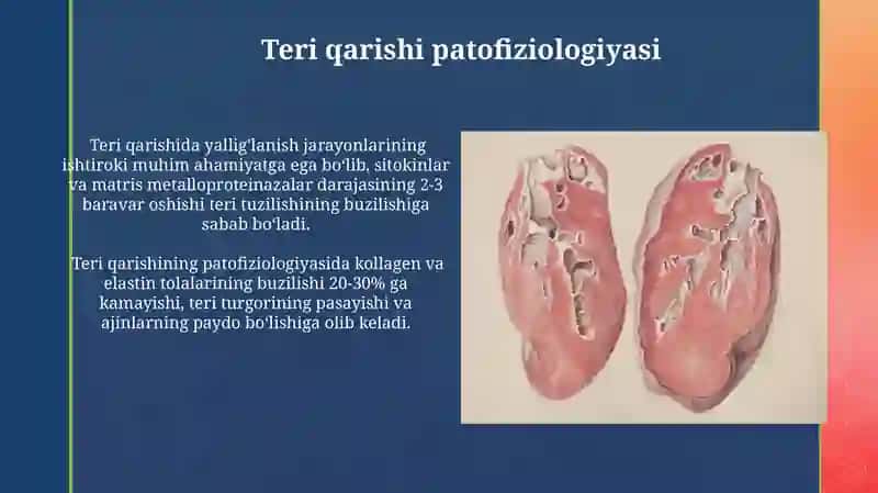 Teri xastaliklari patafiziologiyasi 3