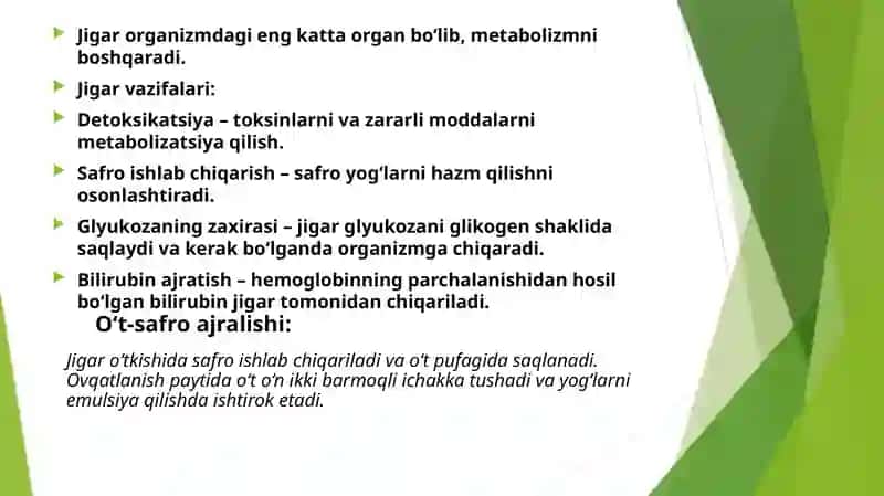 Jigar,o‘t-safroajralishi,me’daostibezifiziologiyasivapankreatiksekretsiya 3
