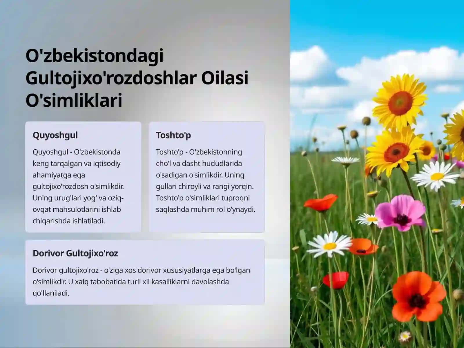 Gultojixo'rozdoshlar Oilasi: Biologiya, Ekologiya va Ahamiyati 3