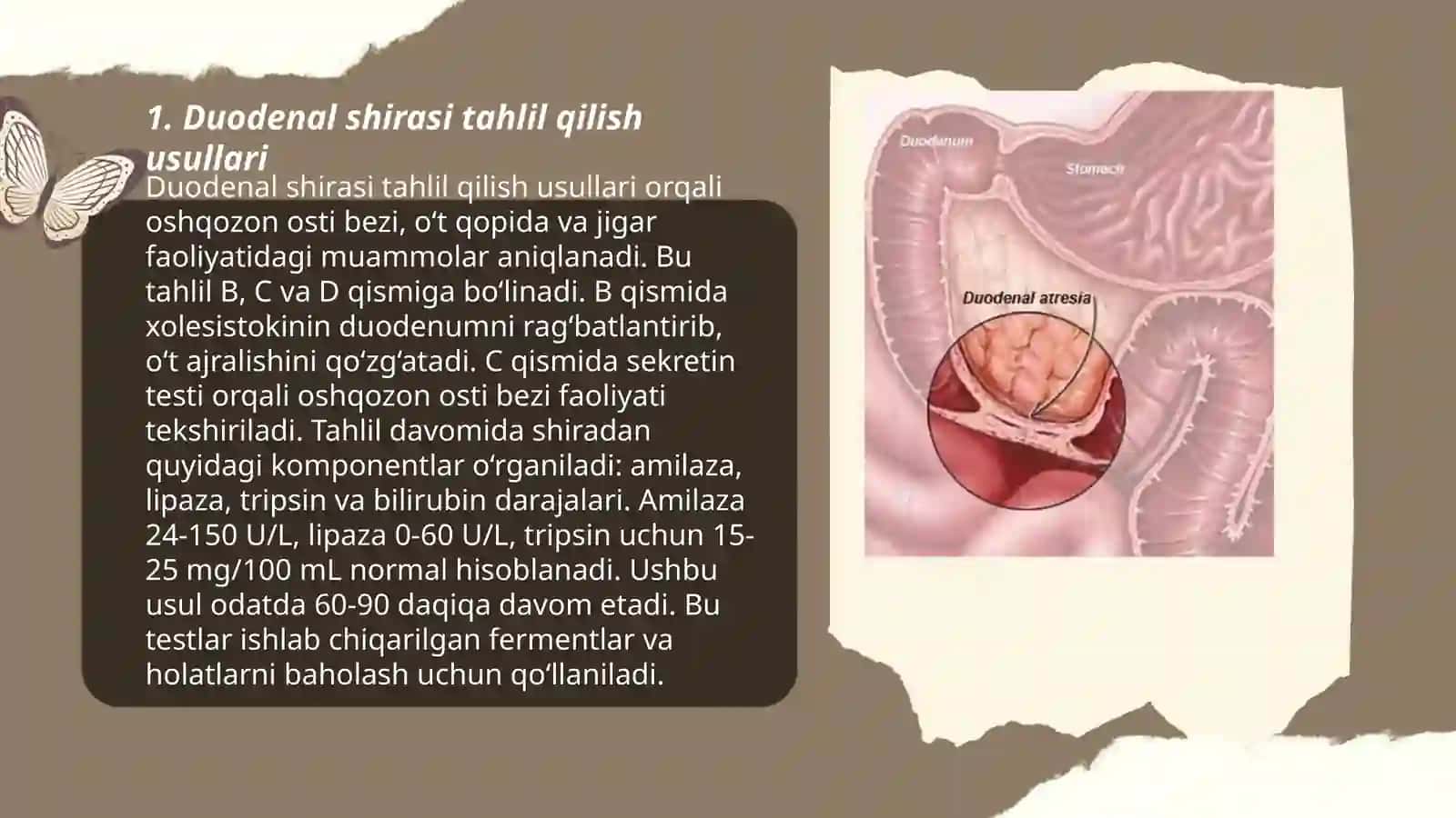 Duodenal shirasini interpretatsiyasi 3