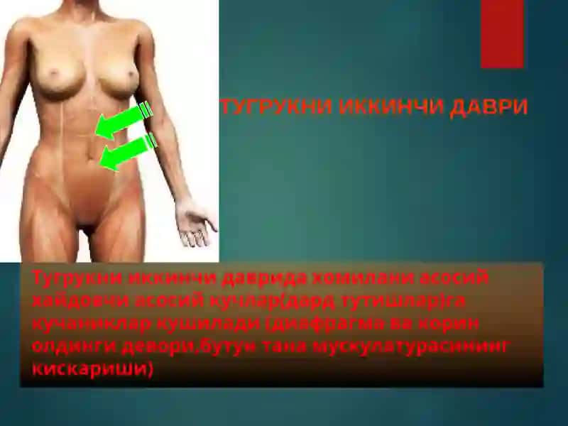 Коникарсиз туғруқ фаолияти 3