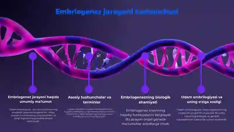 Odamlar embrilogiyasining qaltis davrlari 3