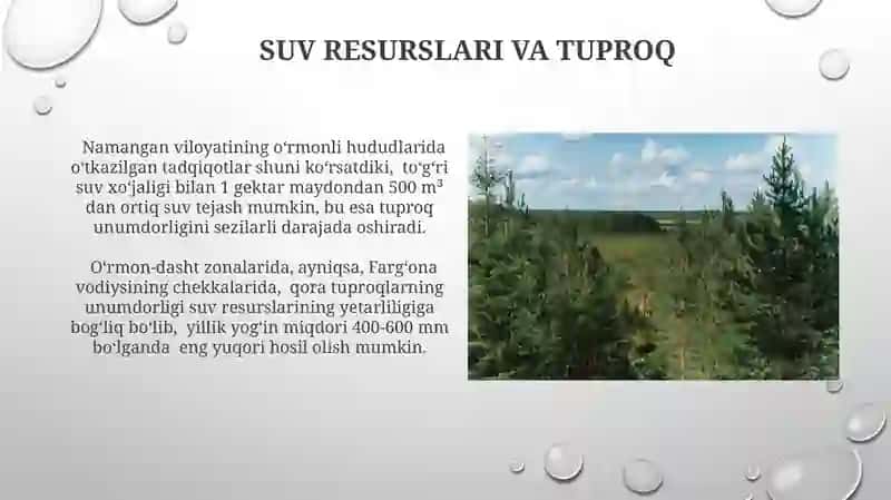 Oʻrmon va oʻrmon dasht tuproqlar 3