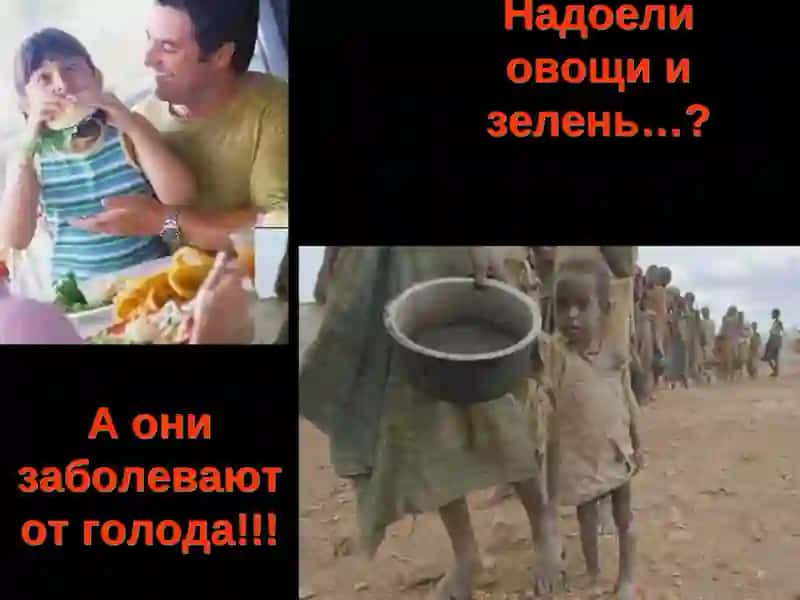 Овощи и зелень 3