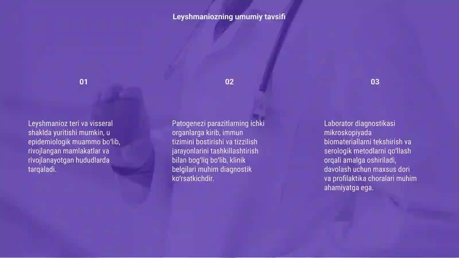 Leyshmanioz teri va visseral shakli 3