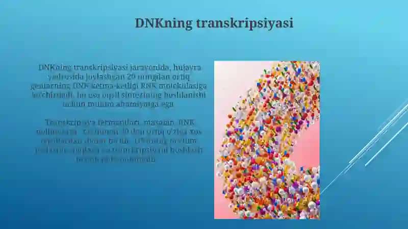 DNK molekulasining genetik axborotni va irsiy belgilarni saqlashdagi roli 3