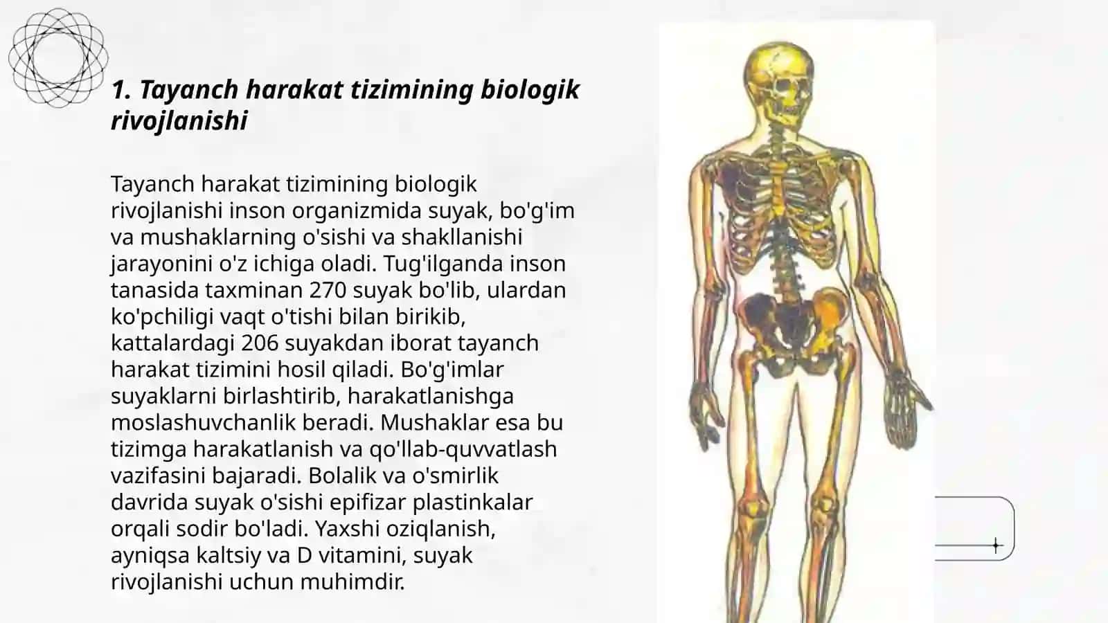 Tayanch harakat tizimining yoshga oid xususiyatlari va gigiyenasi 3