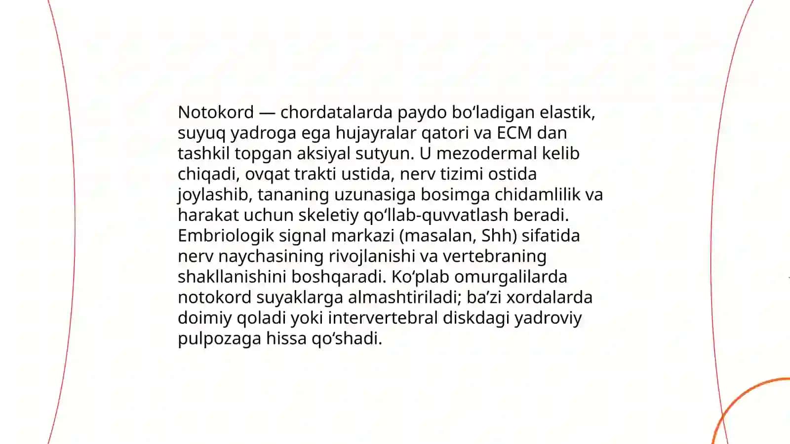 Notokord: tuzilishi va biologik ahamiyati 3
