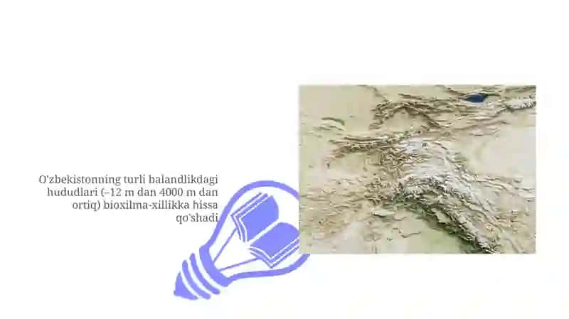 O'zbekiston tabiati 3