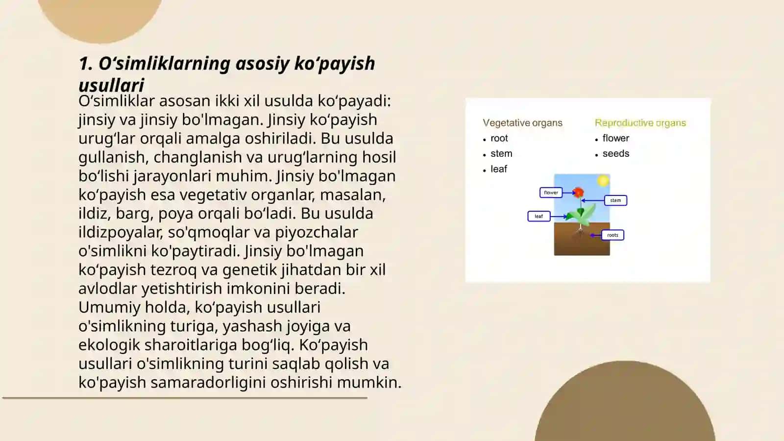 Oʻsimliklarning vegetativ koʻpayishi 3