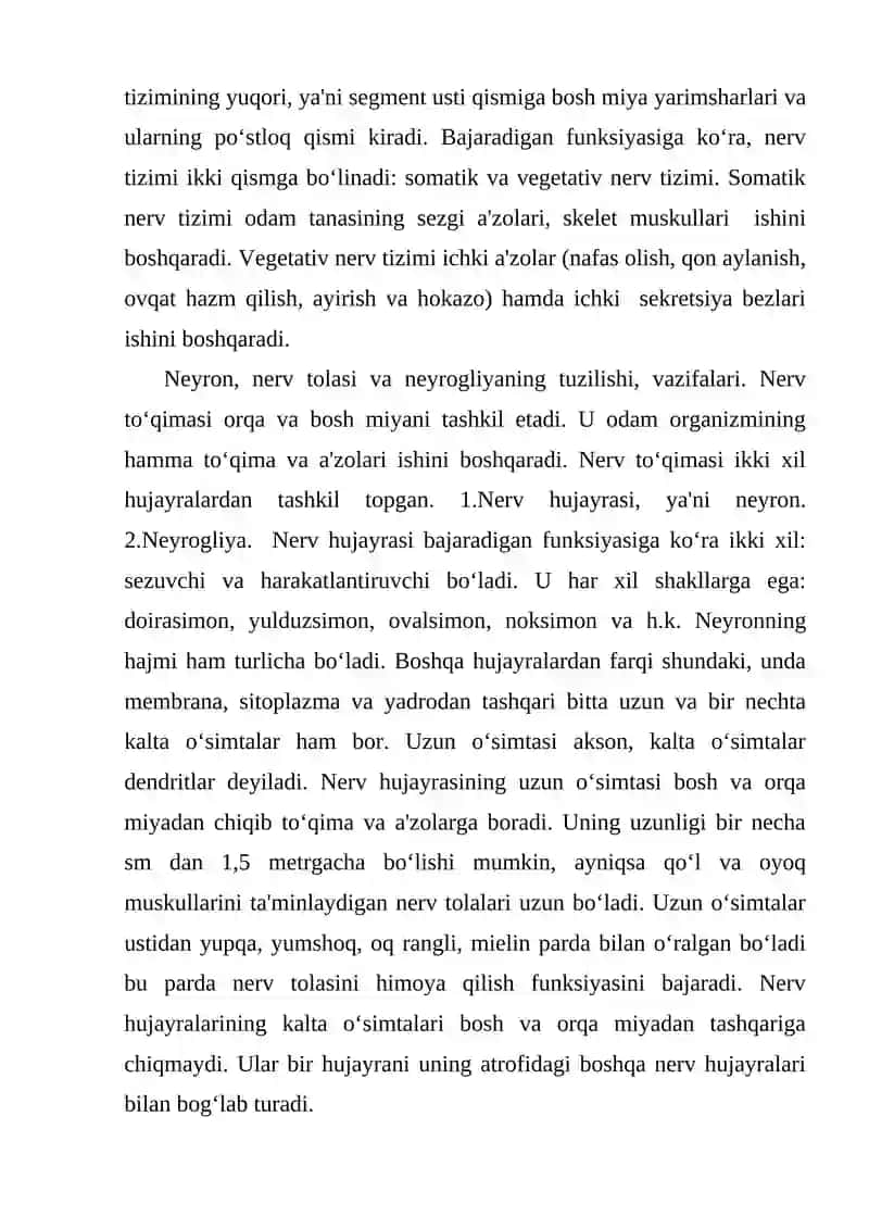 ORQA MIYA FINKSIYASI VA YOSH XUSUSYATLARI NERV TIZIMINING AHAMIYATI 3