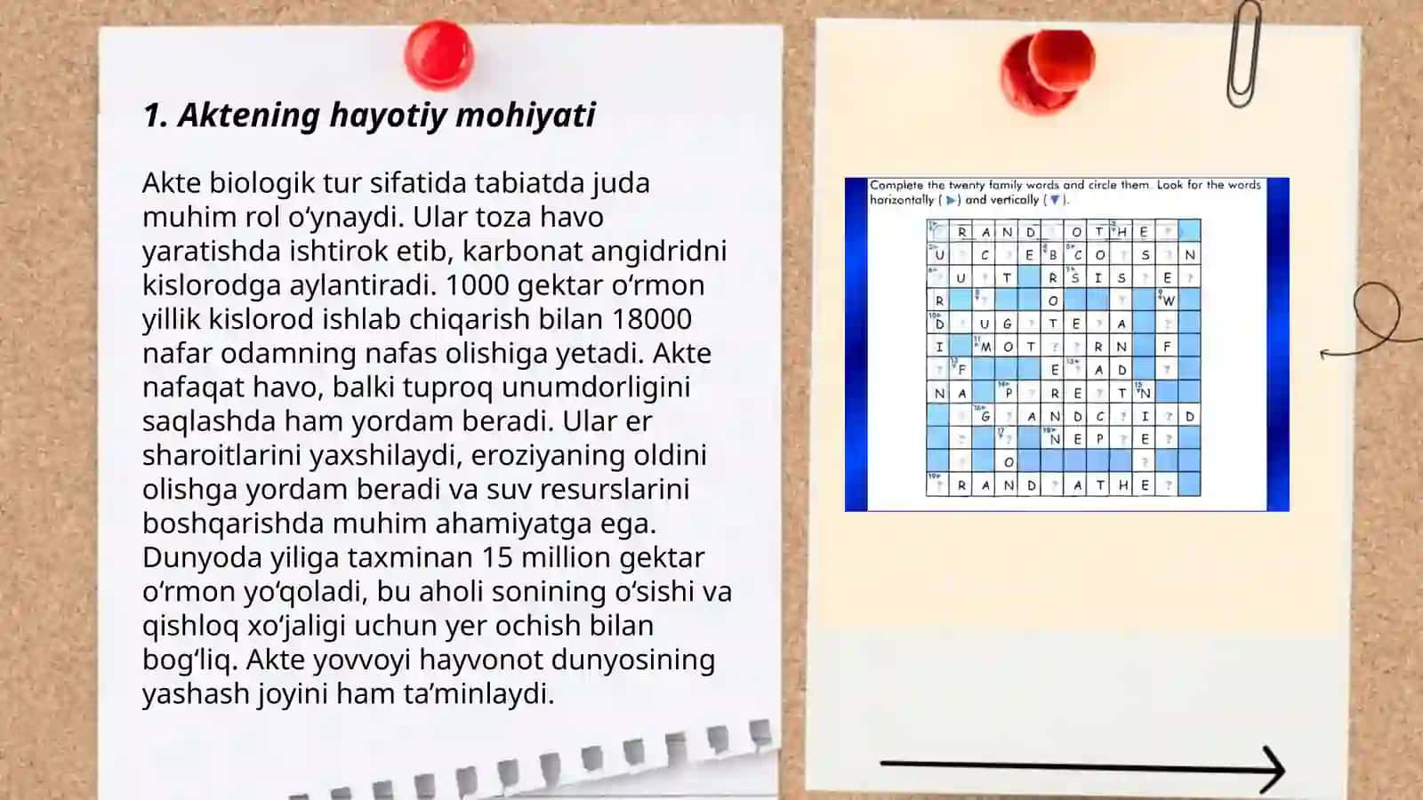Insonning hayoti davomidagi "akte" individual rivojlantirish yoʻli sifatida mavzusi 3