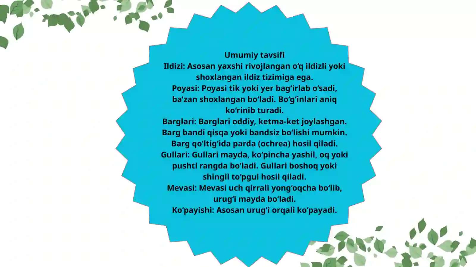Toron (Polygonum) turkumi dorivor o‘simliklarning xalq xo‘jaligidagi ahamiyati 3