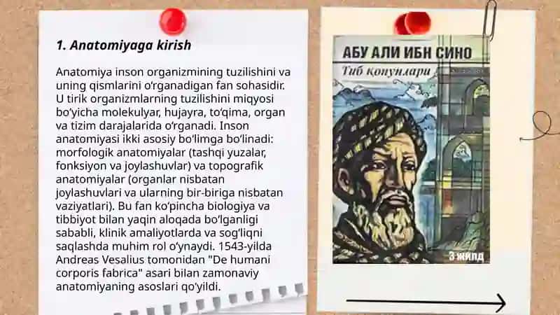 Ibn sino tib qonunlari kitoblari mazmuni 3