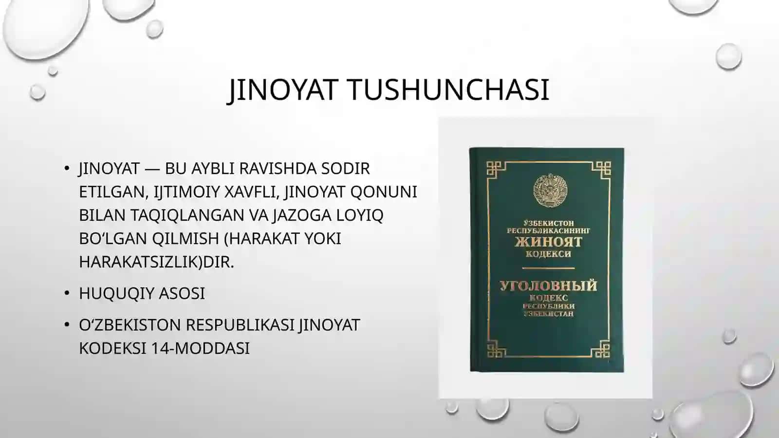 Jinoyat sodir etishdan ixtiyoriy qaytish 3
