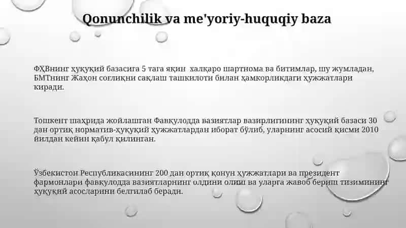 Favqulodda Vaziyatlarning Oldini Olish va Bartaraf etish Davlat Tizimining Tuzulimi 3