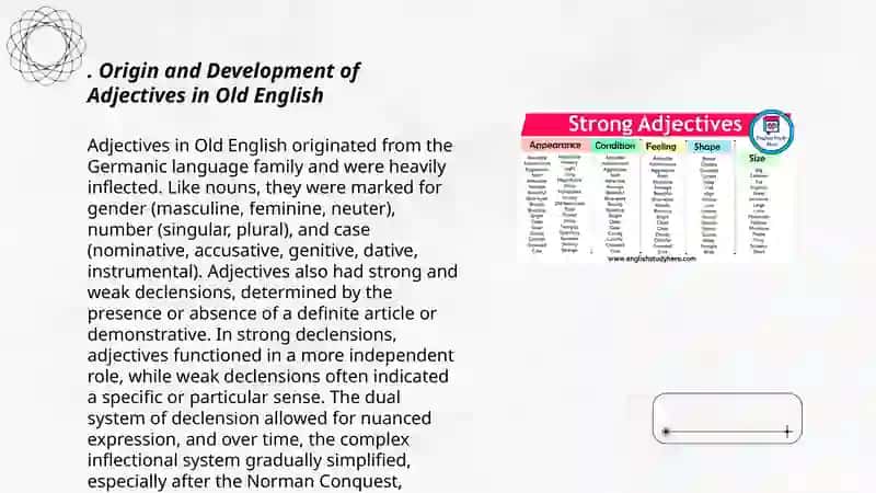 Adjectives in the old English and Middle English periods 3