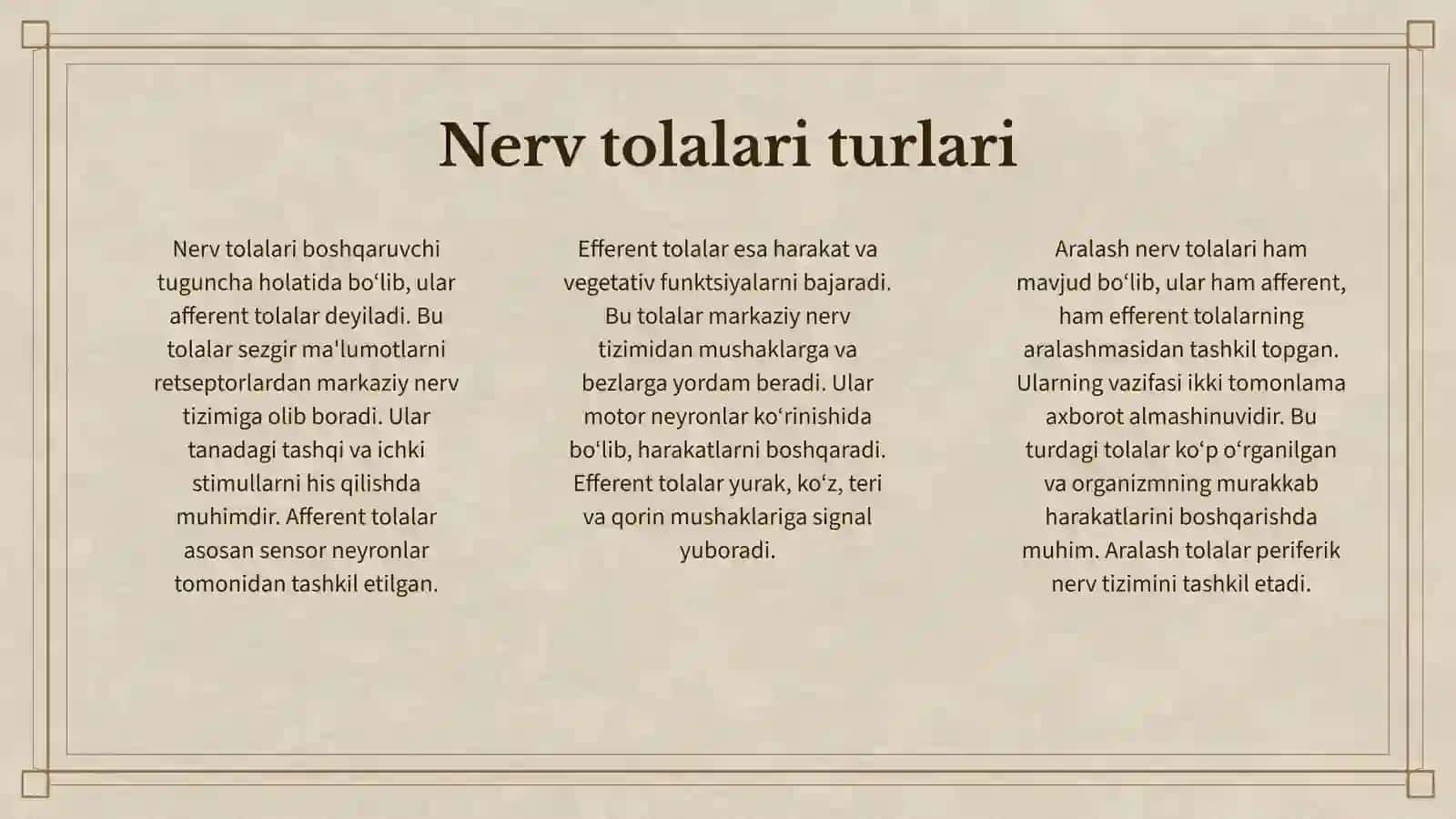 NERV TIZIMINI TUZILISHI 3