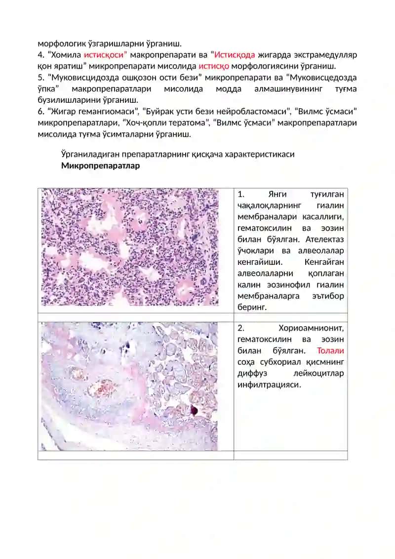 Туғма аномалиялар ва касалликлар 3