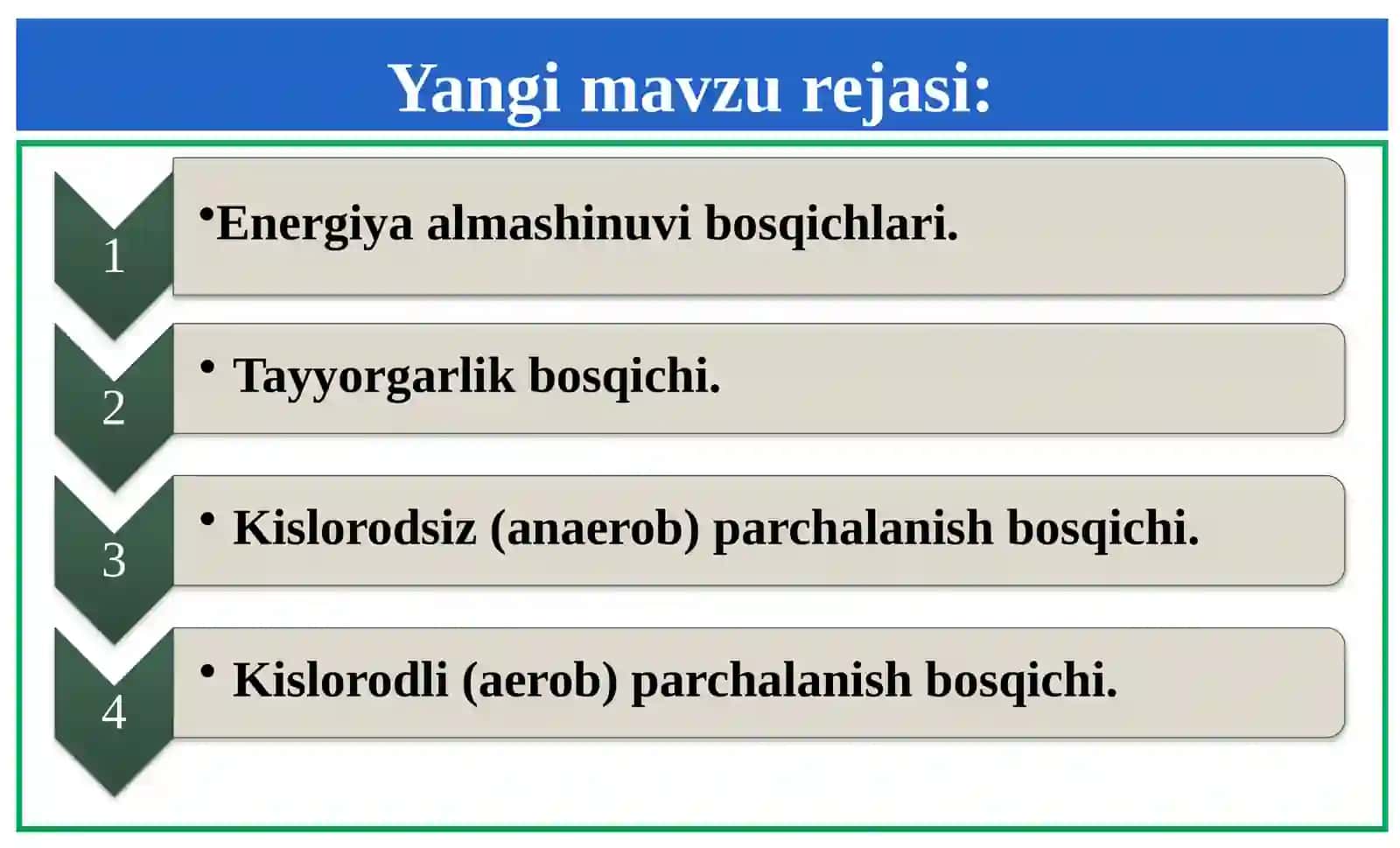 Energiya almashinuvibosqichlari. ATFsintezi 3