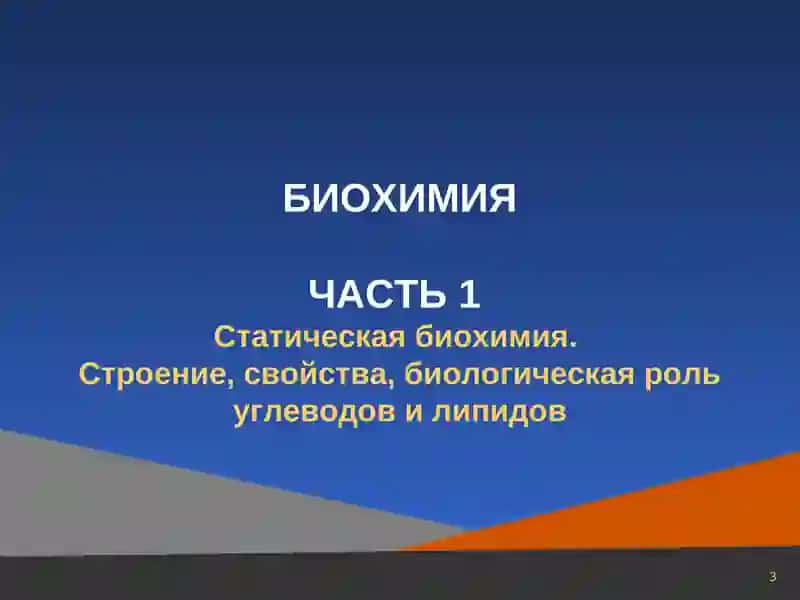 Биохимия 3