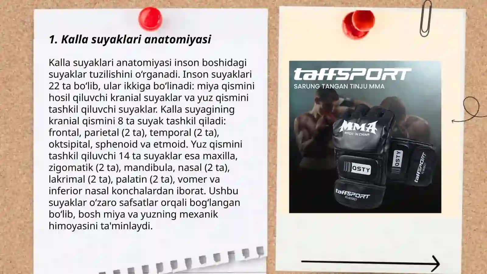 Kalla suyaklari asosi. bo'shliqlar. chuqurlar. kanallar 3
