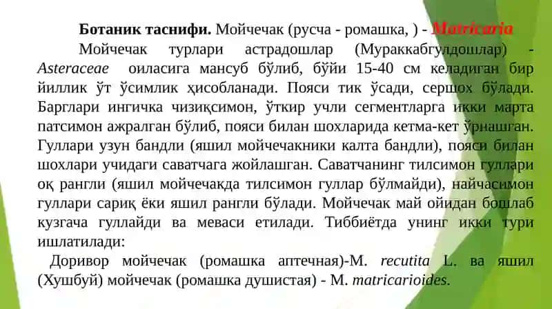 Тўшкент давлат аграр университетидоривор ўсимликлар кафедраси 3
