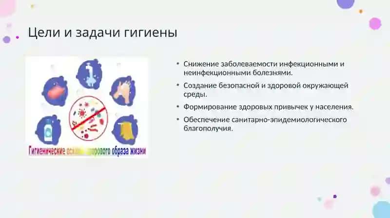 Основные разделы гигиены 3