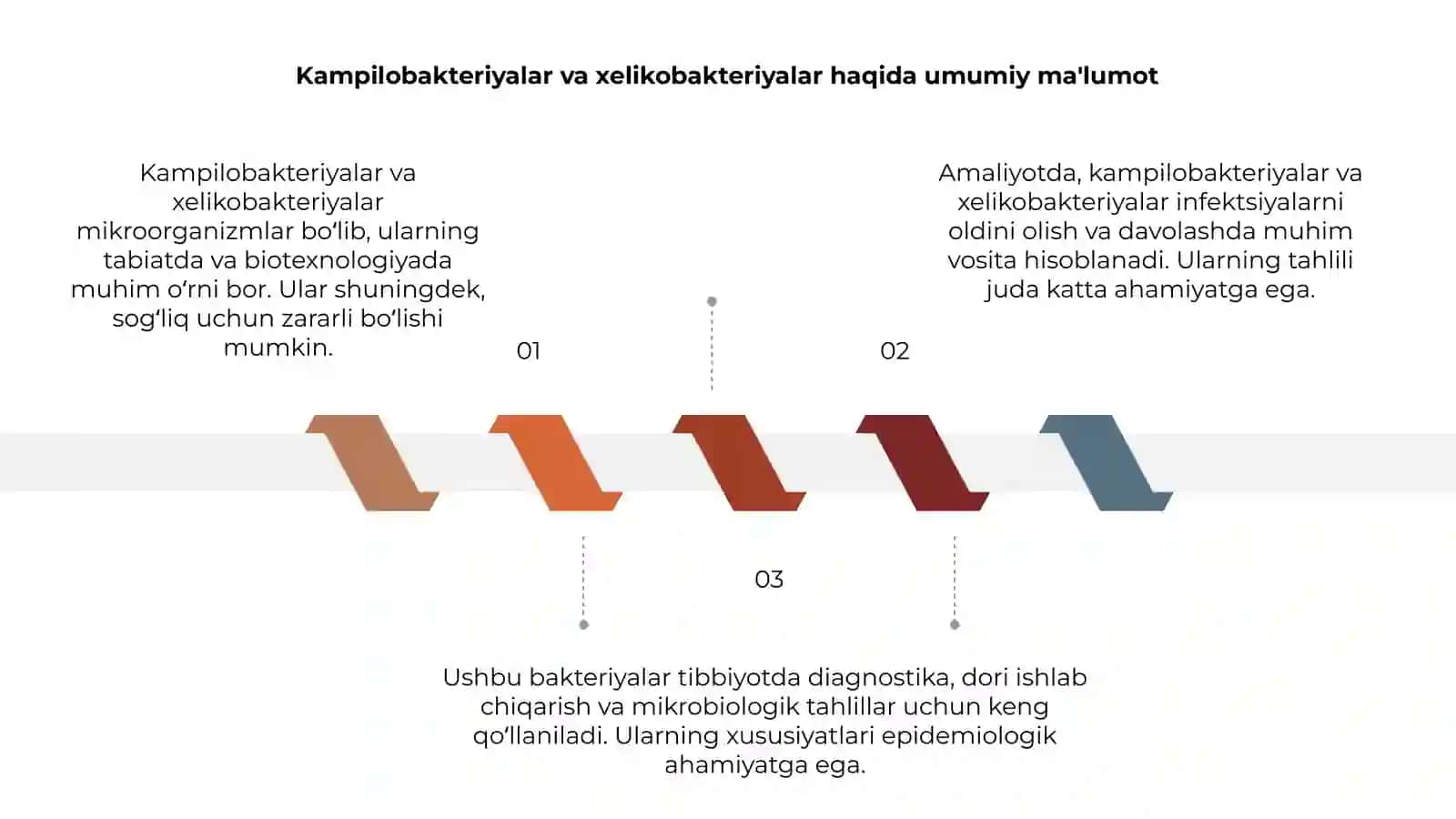 Kampilobakteriyalar, xelikobakteriyalar va ularning amaliyotdagi ahamiyati 3