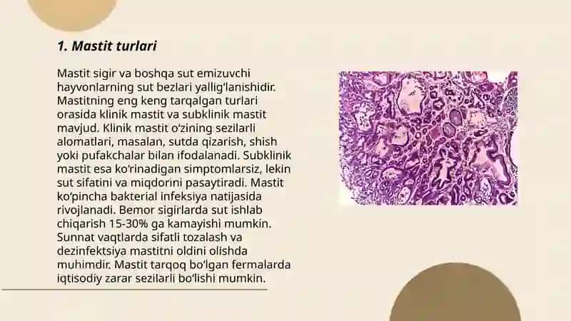 Bezsimon azolar yiringli yalligʻlanish xastaligi.Mastit 3