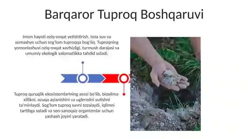 Tuproqning biosfera va inson hayotidagi ahamiyati 3