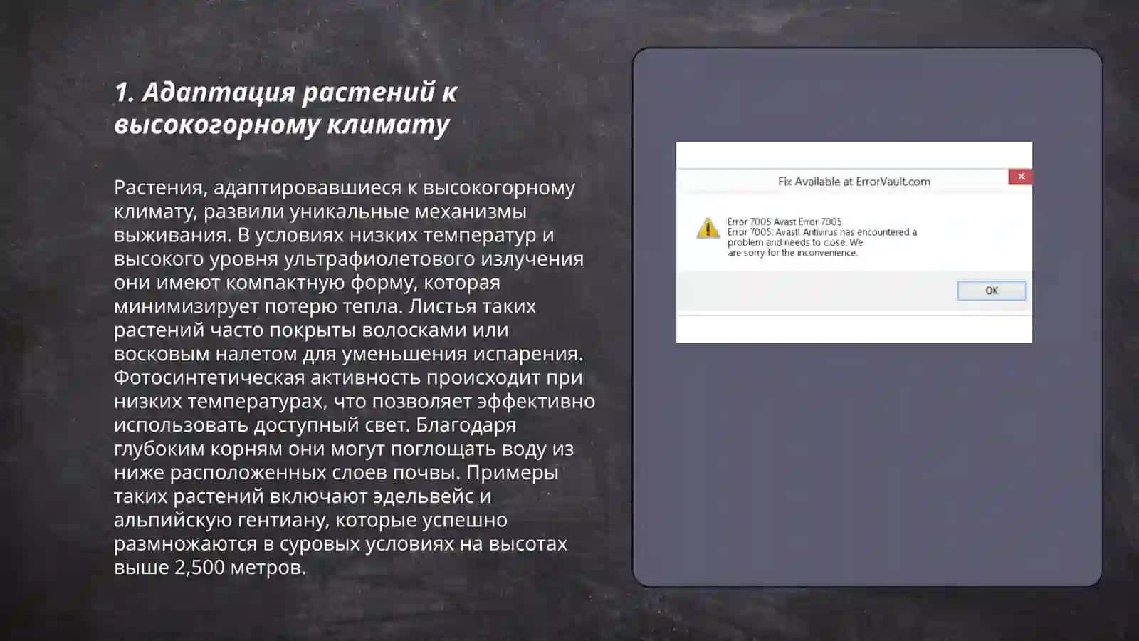 Адаптация растений и животных к жизни в высокогорных районах 3