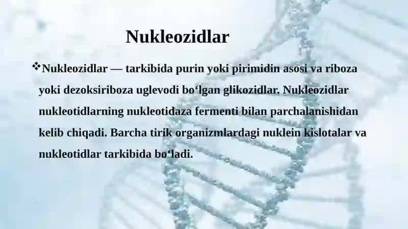 Nukleotidlar va nuleozitlar 3