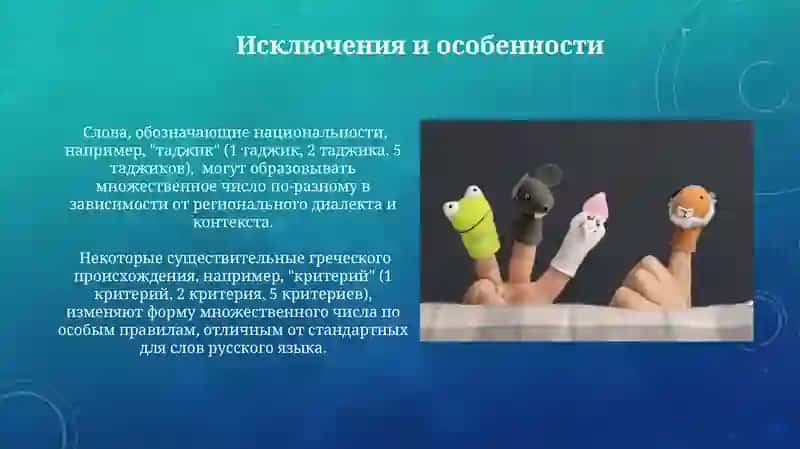 Множественное число имен существительных 3