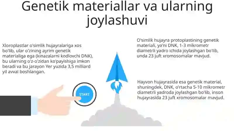 Hujayra protoplastining tarkibiy qismi hamda hayvon hujayrasi bilan oʻzaro solishtirish 3