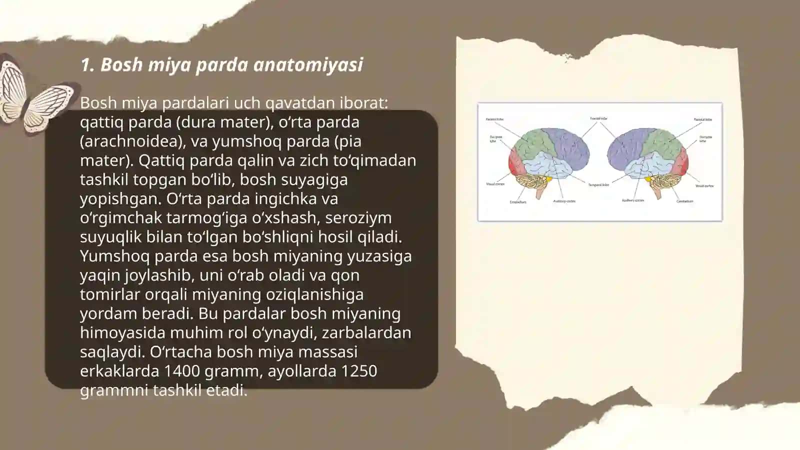 Bosh miya va orqa miyani urab turuvchi pardalar 3