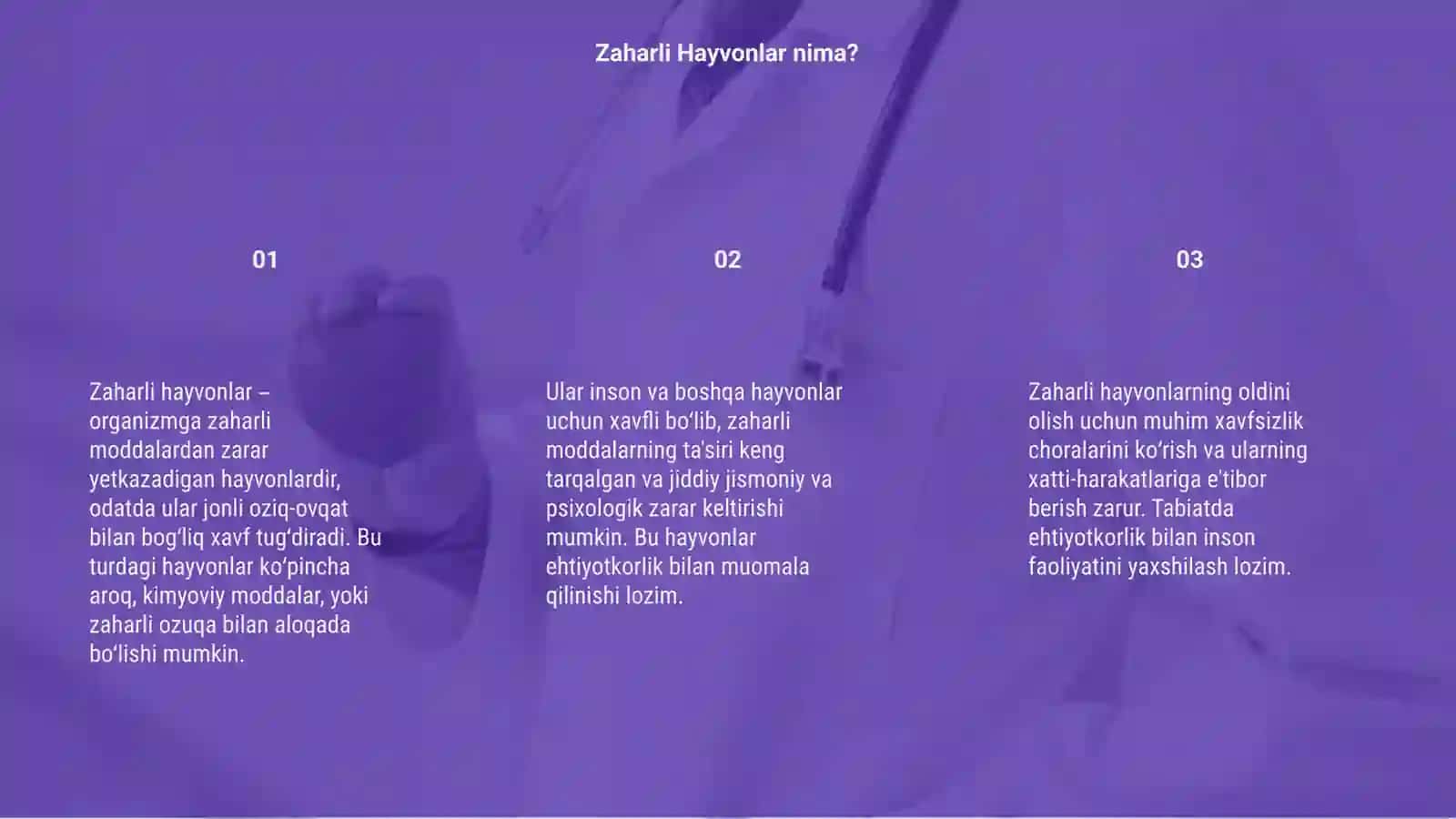 Zaharli hayvonlar 3