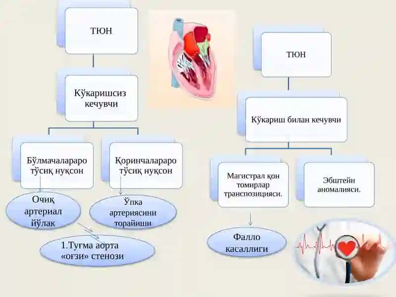 Туғма Юрак Нуқсонлари 3