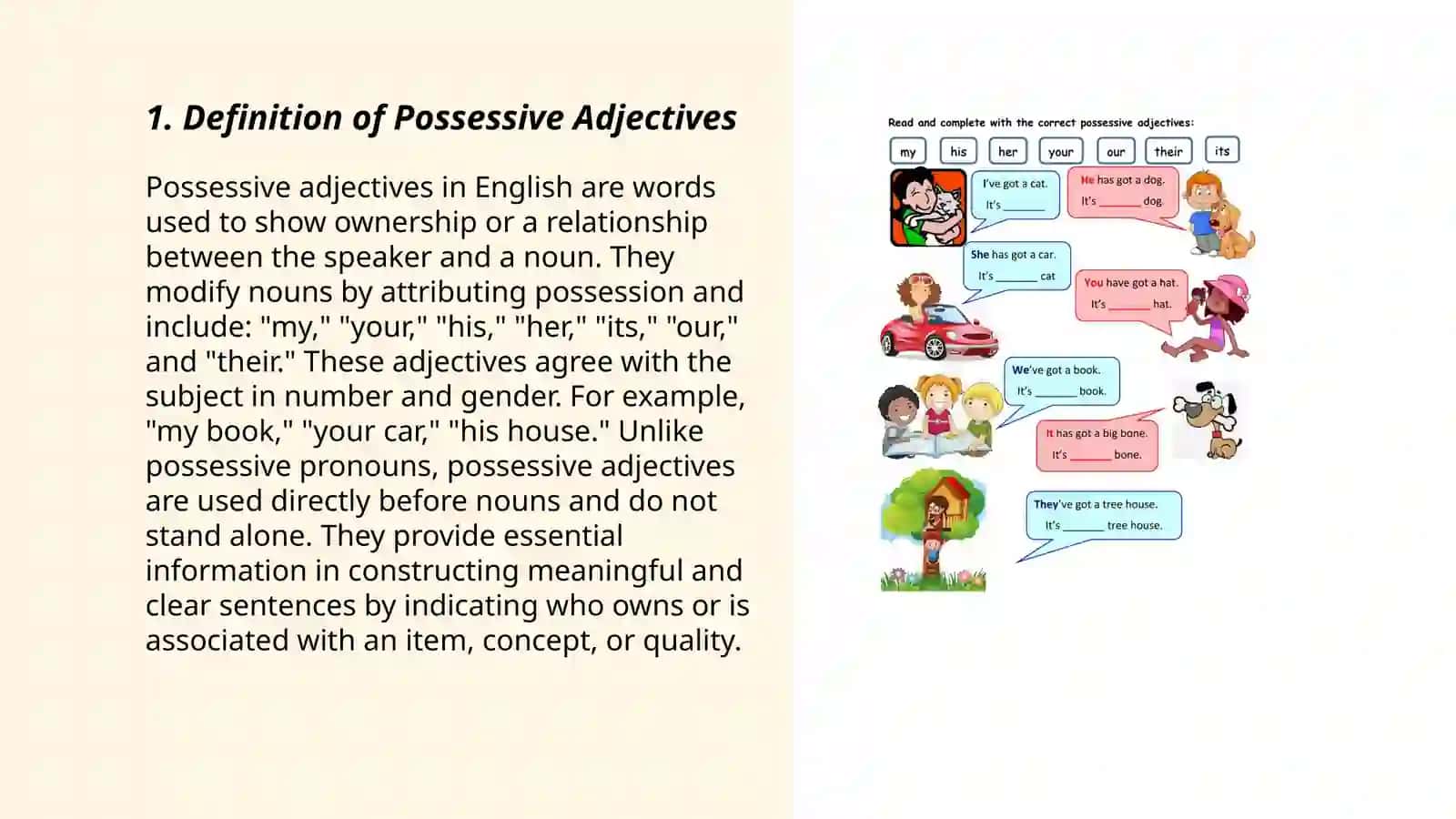 Possessive Adjectives (Tegishli sifatlar) 3