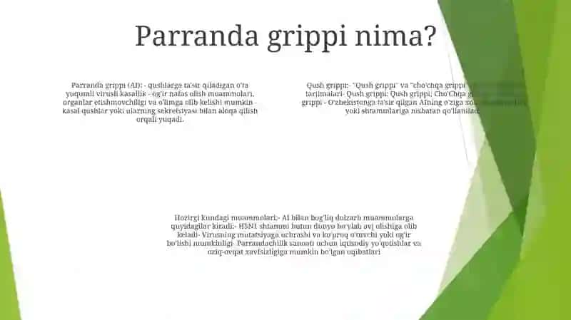 Parranda Va ChoʻChqa Gripi Va Uning Hozirgi Kundagi Muammolari 3
