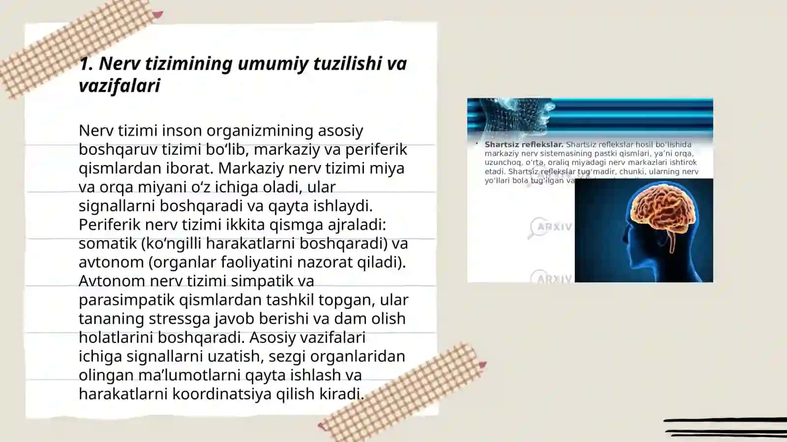 Nerv tizimining ahamiyati va gigeyenasi 3