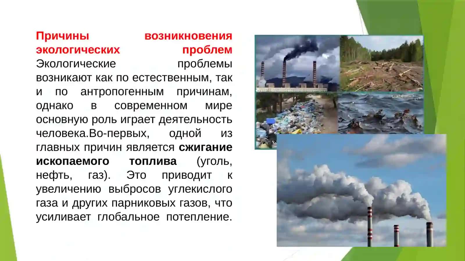 “Проблемы экологии” 3