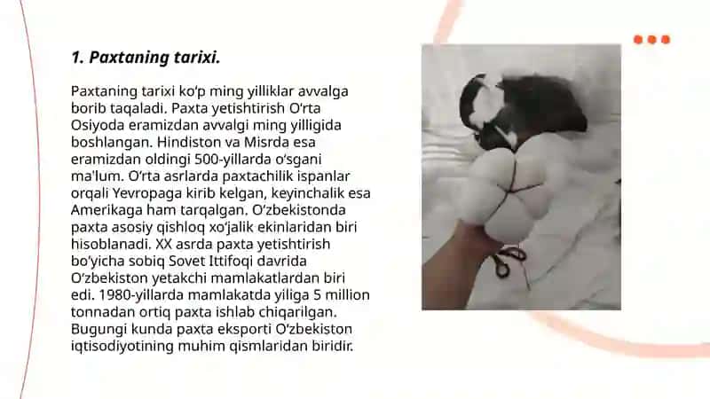 Paxta haqida umumiy malumot 3