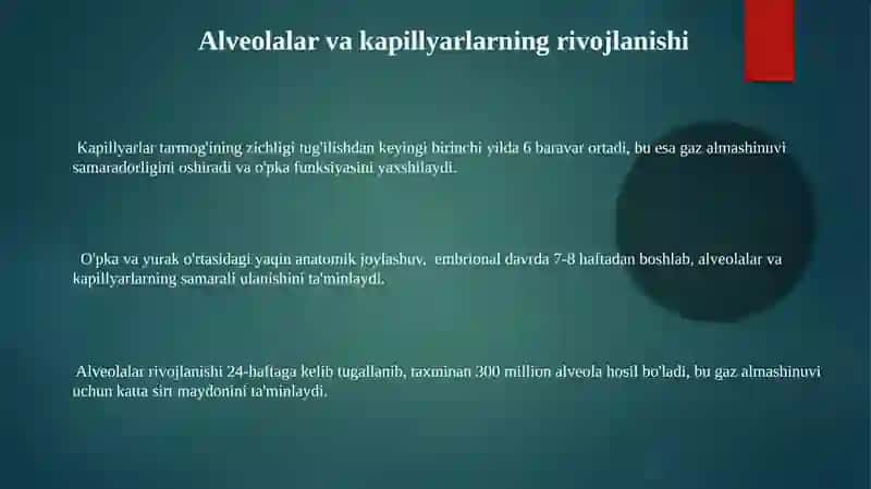 Nafas olish va yurak-qon tomir tizimi anatomiyasi 3